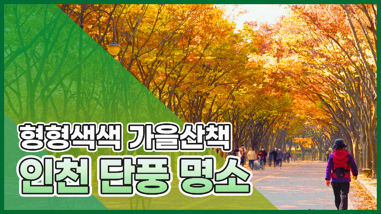단풍 구경 갈만한곳 🍂 인천 단풍 명소 바로 여기 _ 인천대공원의 썸네일